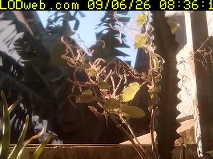 2026-09-06