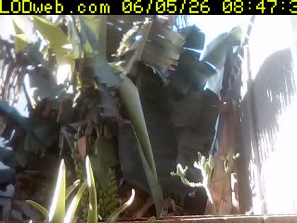 2026-06-05