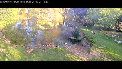 2025-05-09