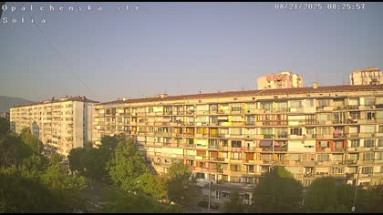 2025-08-21
