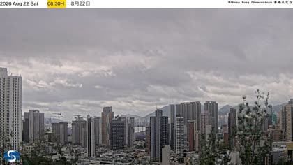 2026-08-22