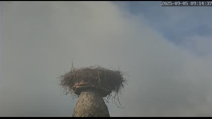2025-09-05
