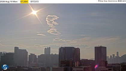 2026-08-10