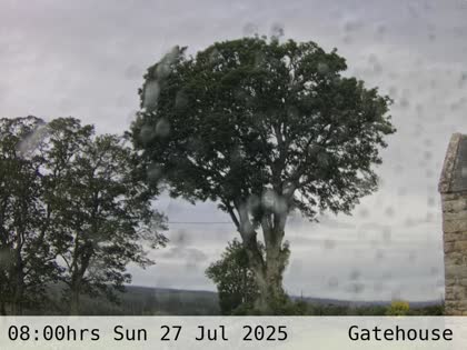 2025-07-27