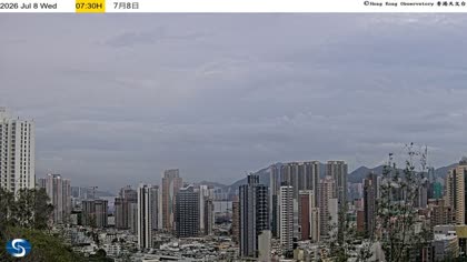 2026-07-08