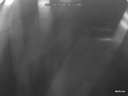 2025-10-10