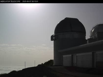2025-06-07