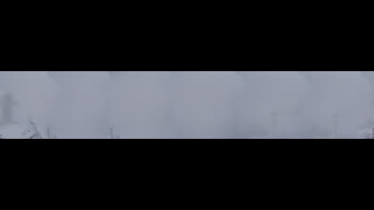 2025-07-29