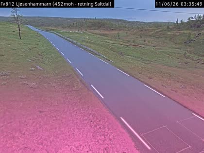 2026-06-11