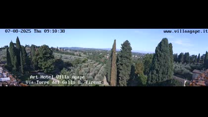 2025-08-07