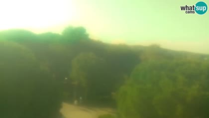 2025-09-12