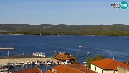 2026-09-04