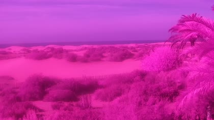 2026-10-14