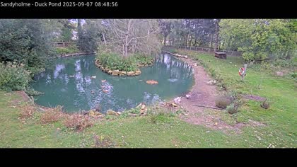 2025-09-07