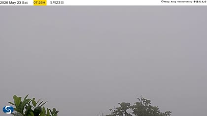 2026-05-23