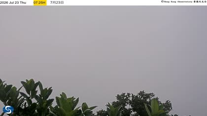 2026-07-23