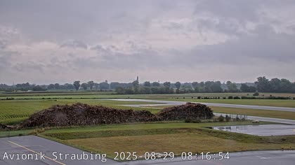 2025-08-29