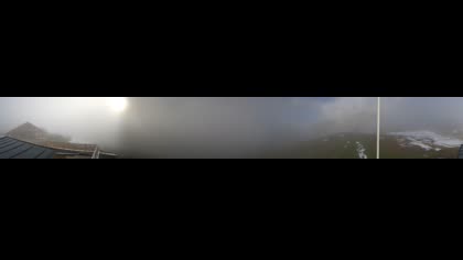 2026-05-19