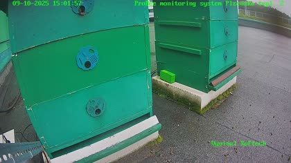 2025-09-11