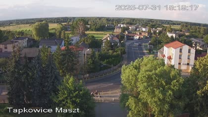 2025-07-31