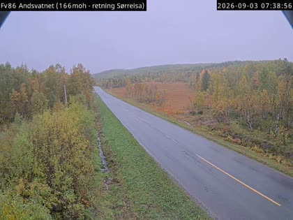 2026-09-03