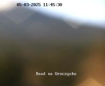 2026-06-03