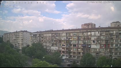 2025-07-29