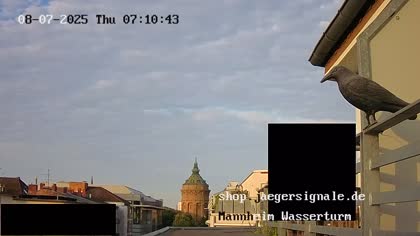 2025-08-07