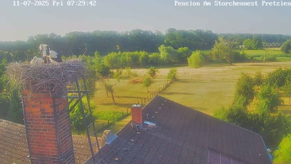 2025-07-11