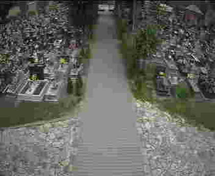2025-05-31