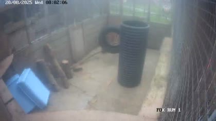 2025-08-20
