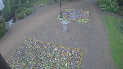 2026-05-15