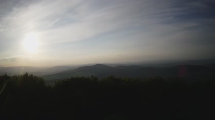 2026-05-22