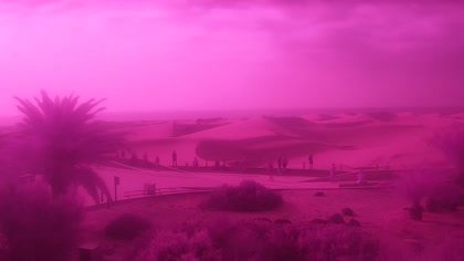 2026-10-06