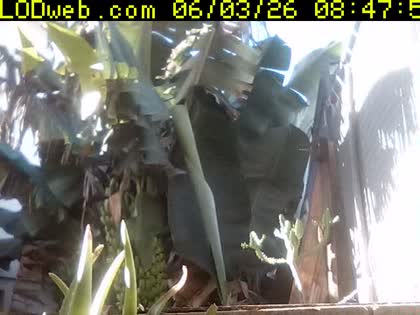 2026-06-03
