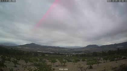 2025-10-09