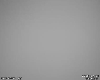 2025-09-24