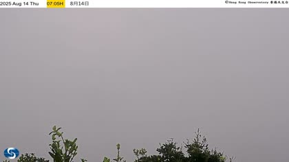 2025-08-14