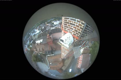 2025-09-29
