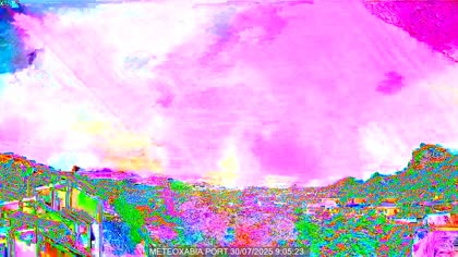 2025-07-30