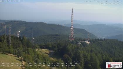 2025-07-31