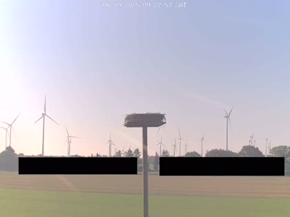 2025-09-06