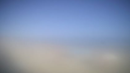 2025-07-29