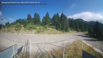 2025-07-09