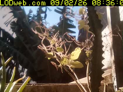 2026-09-02