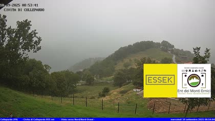 2025-09-10