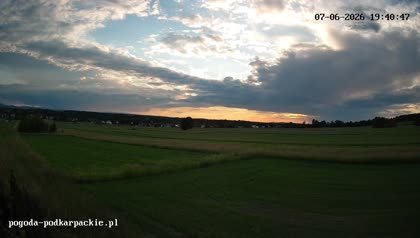 2026-06-07