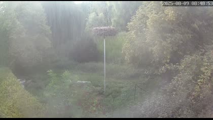 2025-08-09