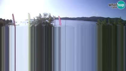 2025-09-12