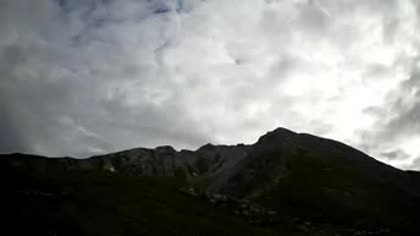 2026-06-12